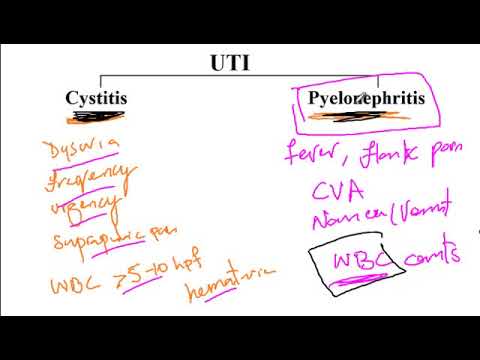 183 UTI, Urinary Tract Infection, cystitis, pyelonephritis USMLE STEP 1 – WWW.USMLEACE.COM