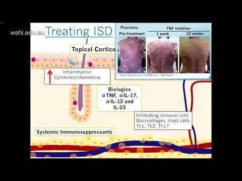 Anderton H (2018): Cell death, the immune system & microbiome in skin inflammation and disease