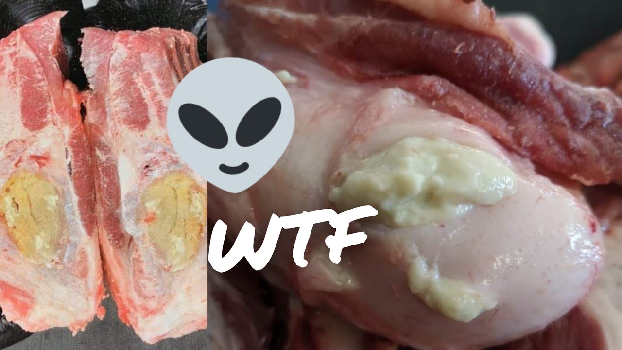 Biggest Beef Cyst in the World Cut Out & Popped ??