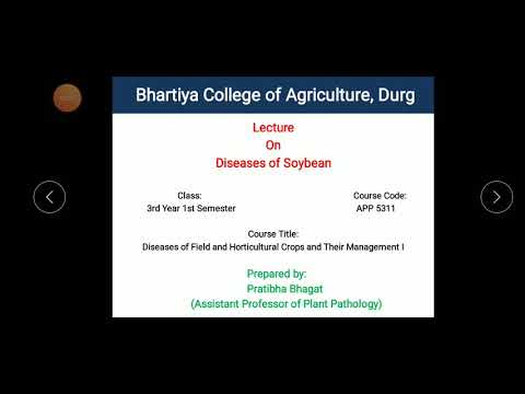 Diseases of soyabean (Rhizoctonia blight and Bacterial pustule) by Pratibha Bhagat