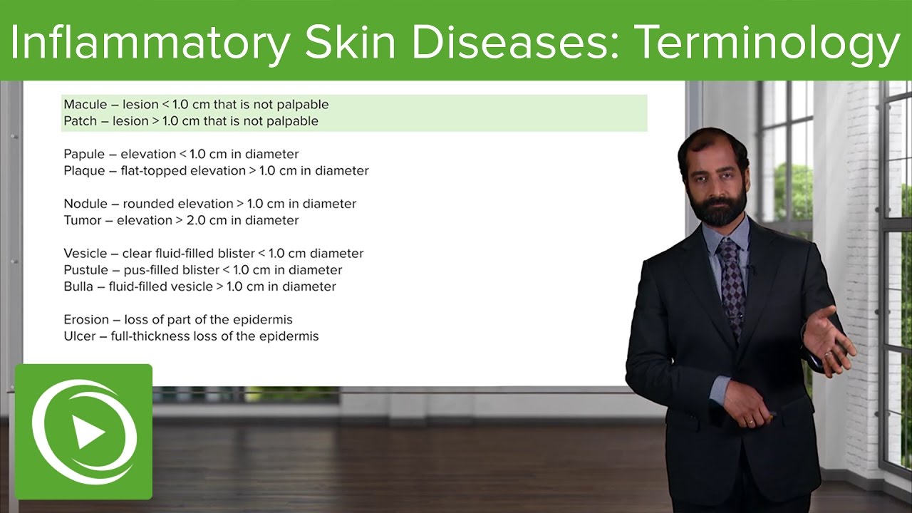 Inflammatory Skin Diseases: Terminology – Pathology | Lecturio