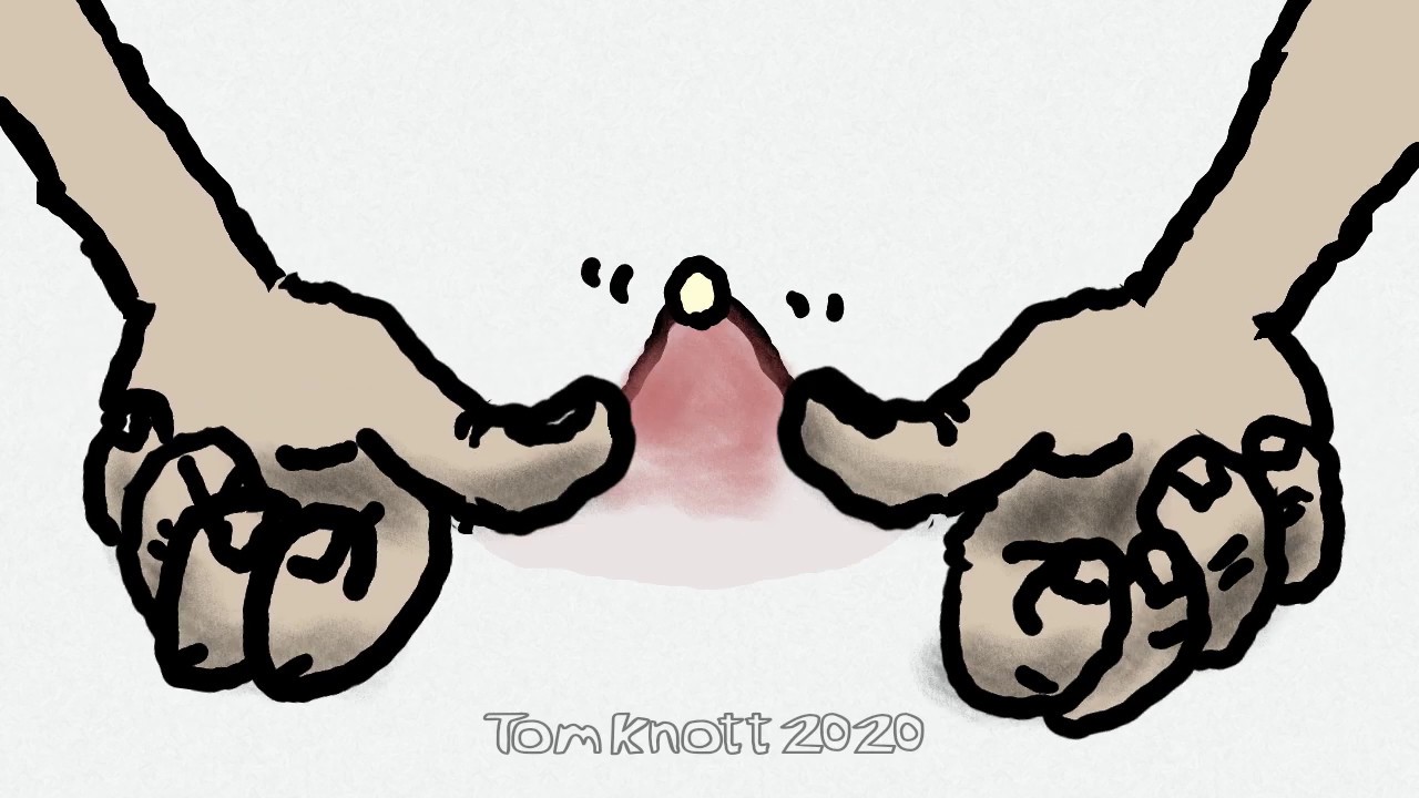 'The Pimple Pop!' – Animation