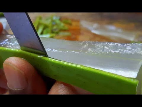The Reason Why Aloe Vera Is Itching Your Skin