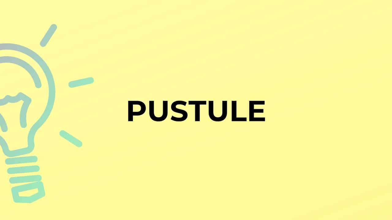 What is the meaning of the word PUSTULE?