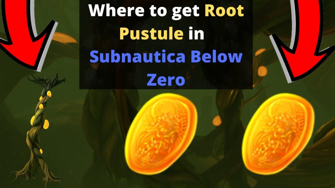 Where to get Root Pustule in Subnautica Below Zero